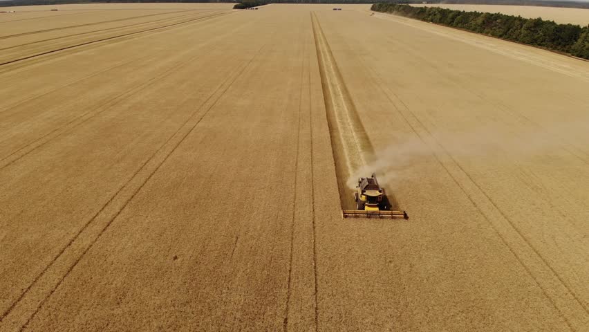 Ukraine. Combine harvesting on the field of yellow cereals. Farmland wheat harvesting by big combine. drone video. Royalty-Free Stock Footage #1103539081
