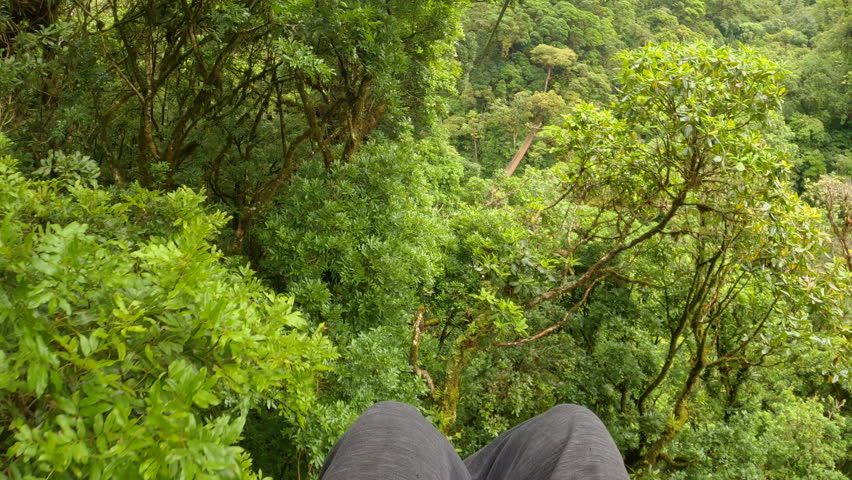 POV: Enjoyable and adrenaline-filled descent on zipline between jungle treetops. Sport adventure tourism experience in a beautiful green rainforest near mountain town of Boquete in tropical Panama. Royalty-Free Stock Footage #1103541779