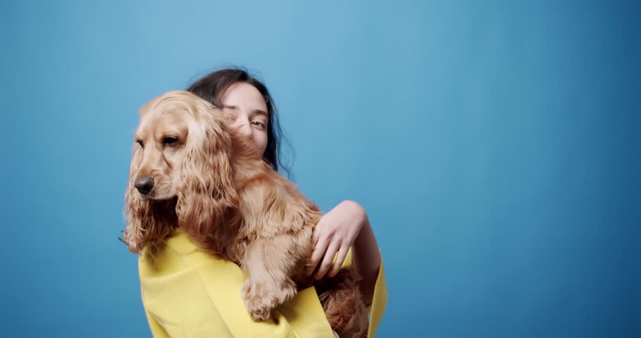 Static shot of cheerful young brunette in stylish clothes embracing English Cocker Spaniel dog and looking at camera with toothy smile then tossing pet slightly against blue background Royalty-Free Stock Footage #1103559207