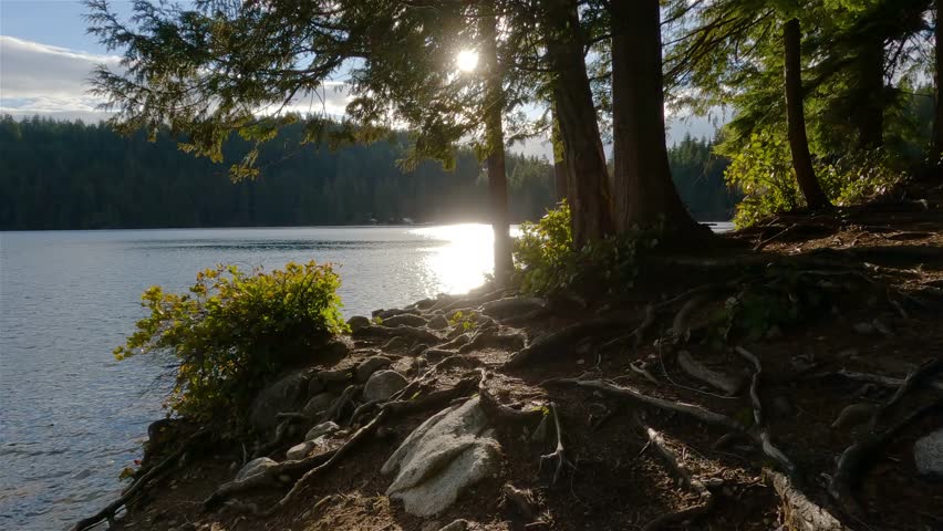 Sunny Evening at Sasamat Lake, Canadian Nature. Located in Port Moody, Vancouver, BC, Canada.