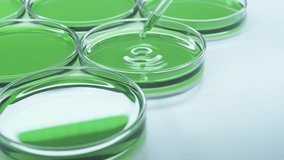 Brilliant Green Agar. combination of tryptone, peptone and yeast extract. Pipette Petri Dish Green Liquid. Laboratory. Virus. Mixture of ingredients. indicators, amino acids or antibiotics. - Powered by Shutterstock - Get 15% off with code: PIKWIZARD15