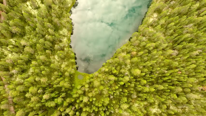 Flying Over the Beautiful Sunny Green Forest Trees. Aerial View of Turquoise Lake Water among the Pine Trees. Aerial Camera Shot. Landscape Panorama. The Republic of Karelia Forest. Rural Landscape. 4 Royalty-Free Stock Footage #1103590399