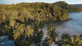 flyover palm trees, beach house peninsula. Gorgeous aerial top view flight drone