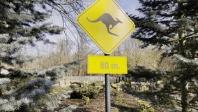 Kangaroo crossing sign in 80m in desert. Kangaroo traffic warning yellow sign. Watch out for Kangaroos wildlife signage