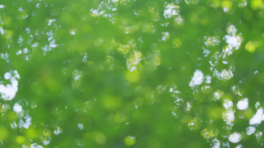 Green leaves bokeh out of focus background from nature forest. Green forest bokeh blur background. Blur. Royalty-Free Stock Footage #1103599763