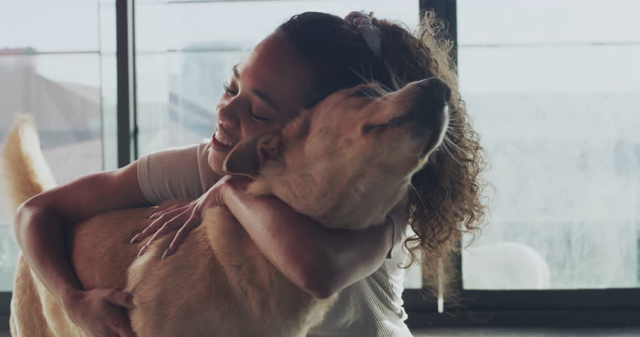Adoption, black woman hug or playing with dog and in her home. Friends, caring or love and young African female person spending happy quality time with her fury pets in living room at her house. Royalty-Free Stock Footage #1103608959