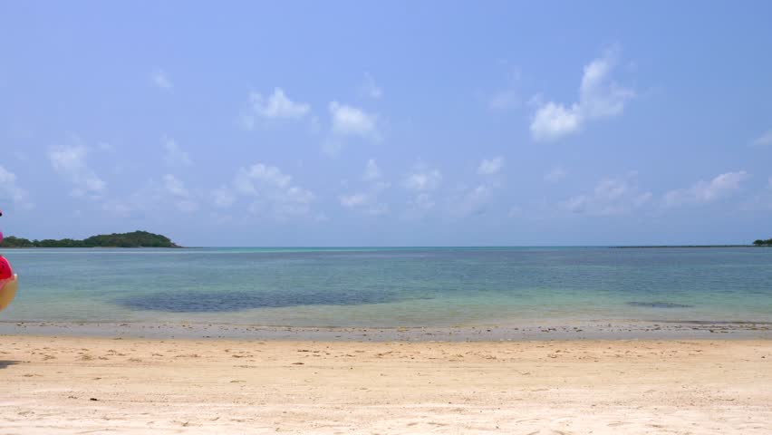 each inflatables in various shapes and colors carried across a white sandy beach