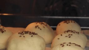 homemade bun with flax seeds, Close-up. Timelapse video of baking and rising round buns in the oven. burger buns