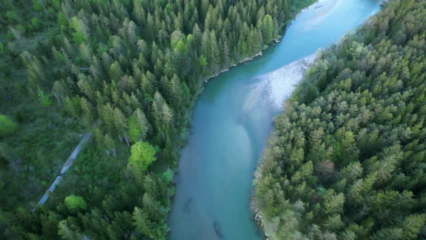 River among coniferous forest in the Austrian Alps