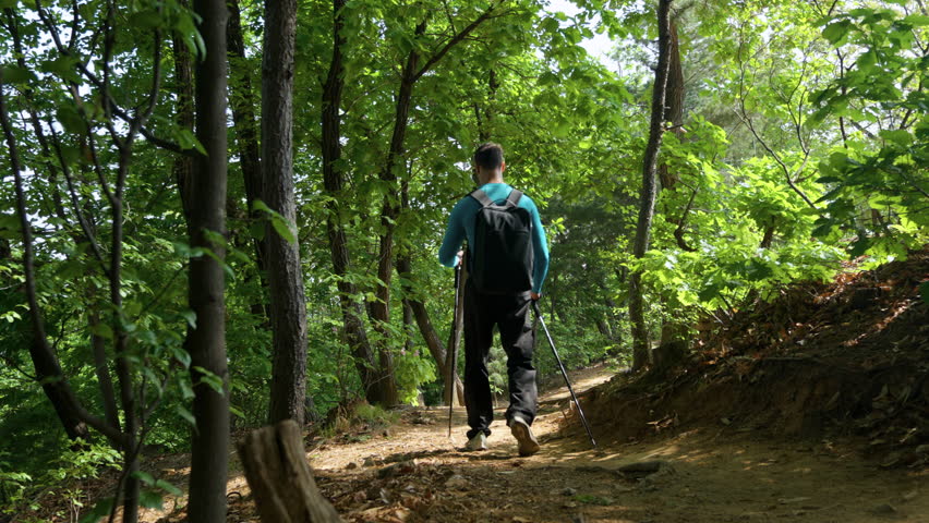 Rear view of hiker following a dirt trail surrounded by lush greenwood on a sunny day hiking in Gwanaksan mountain forest path in Seoul, South Korea Royalty-Free Stock Footage #1103624521