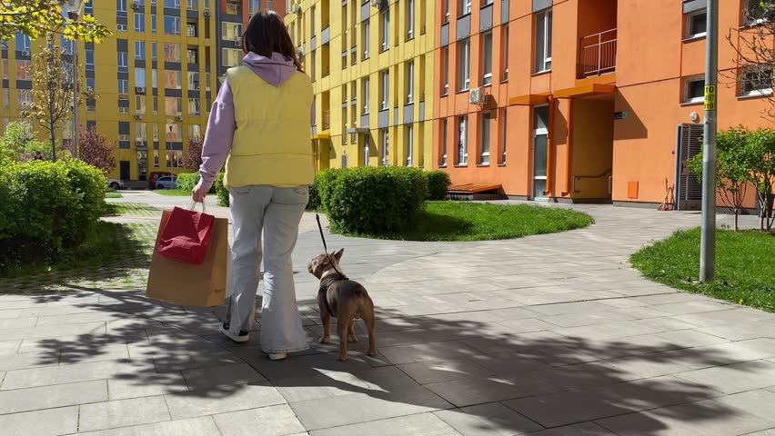 Rear view young adult woman shopper walking the dog holds shopping bags talking phone outdoors. Colorful residential district on background. Urban pet concept. Female pet owner enjoys city lifestyle
