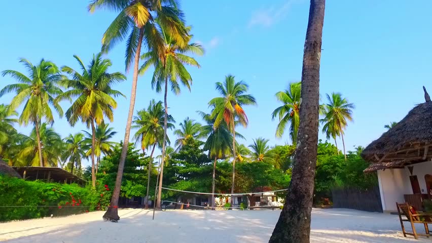 a beach volleyball net hung on two coconut trees in a very beautiful white sand beach - Jambiani Zanzibar - SLOW MOTION Royalty-Free Stock Footage #1103627063