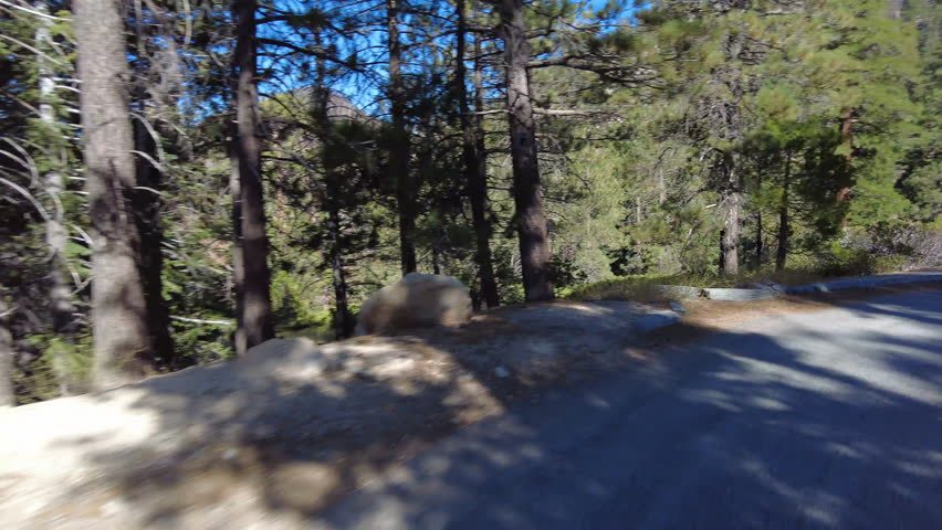 Alpine Forest Road Driving Plate 02 Front View Buckhorn Camp California USA