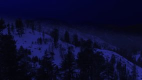 Night Aerial Shot of Snow Covered Winter Forest Forward California USA Day for Night - Powered by Shutterstock - Get 15% off with code: PIKWIZARD15