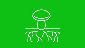 Animated mycelium white line icon. Growing roots line animation. Mycorrhizal network. Loop HD video with chroma key, alpha channel, transparent background. Outline motion graphic animation - Powered by Shutterstock - Get 15% off with code: PIKWIZARD15
