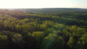 Aerial footage of ascent over mixed forest at sunset in Southern Germany 