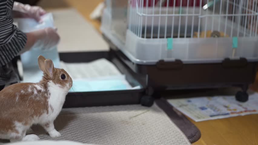 A woman exchanging pet sheets
