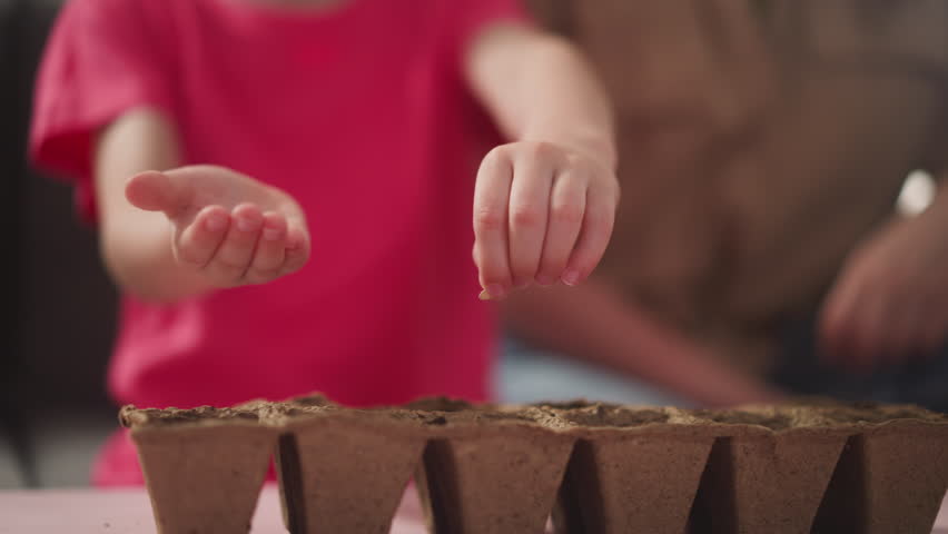 Little child inserts seeds in dirt in seedling tray cells at home closeup slow motion. Preparation for spring gardening. Children education