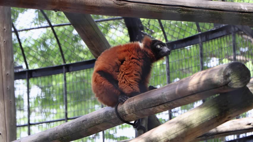 The best view in Yokohama