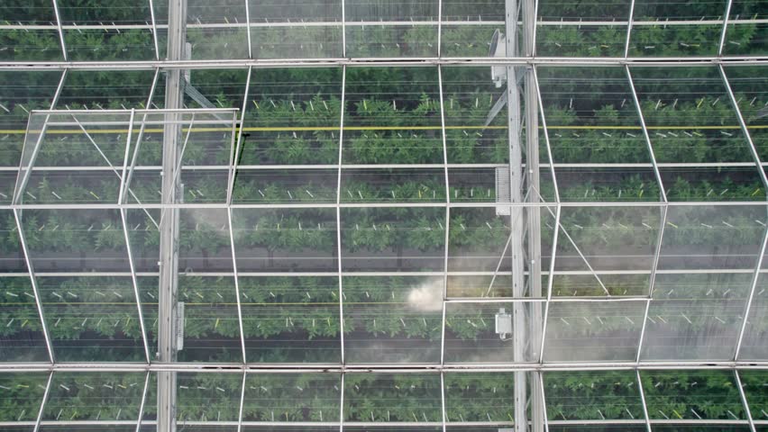 Stunning drone shot captures large-scale tomato cultivation in greenhouse Royalty-Free Stock Footage #1103660577