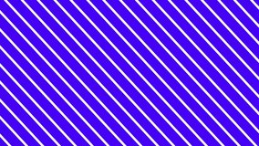 Moving multicolored stripes. Abstract  striped background. Seamless loop video. 
