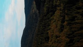 Colorful trees in mountain forest. Green pine tree forest. Vertical video. Mountains at autumn. Beautiful nature mountain landscape