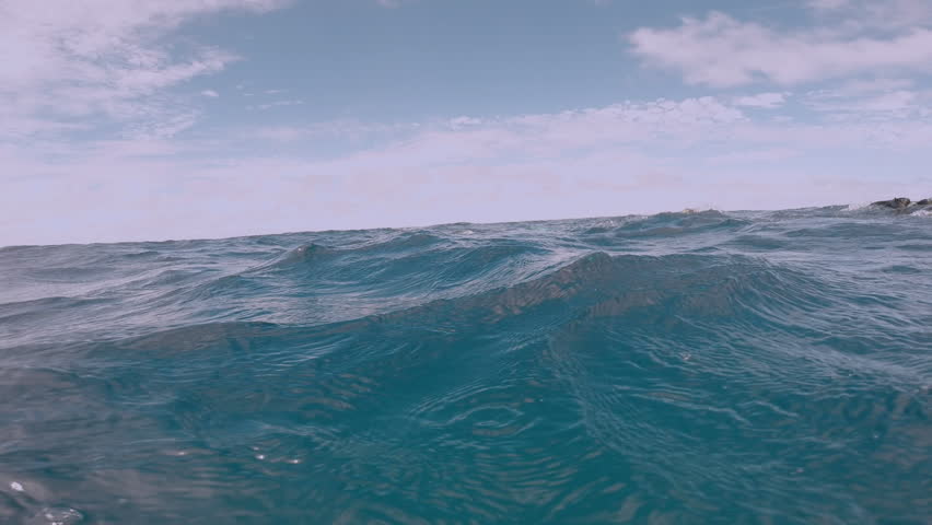 Newborn humpback whale cub swims next to mom underwater in Pacific Ocean. Megaptera Novaeangliae whale in blue water in Tonga Polynesia.