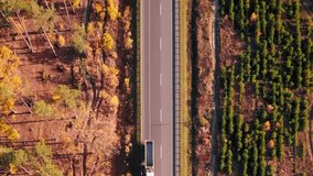 Cars moving along modern speed highway through forest. Vertical video. Asphalt car road with driving cars and vehicles through nature landscape. Colorful autumn forest