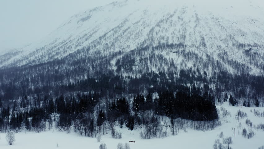Flying over Nordic Forest in Wintertime.
Aerial Drone view of Dramatic Wintery Landscape above the Arctic Circle in Norway.