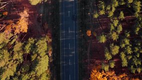 Modern asphalt speedway with moving cars through autumn forest. Vertical video. Beautiful nature forest landscape with car highway and cars. Colorful fall forest with yellow and green trees