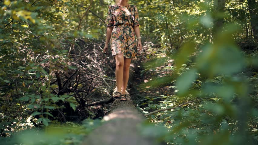 Relaxing Woman Walk On Fallen Tree Pine Forest. Holiday Vacation Tourist Journey Trip In Warm Day. Beautiful  Girl In Dress Walking On Fallen Tree.Carefree Female Exploring Spruce Forest In Sunny Time Royalty-Free Stock Footage #1103703447