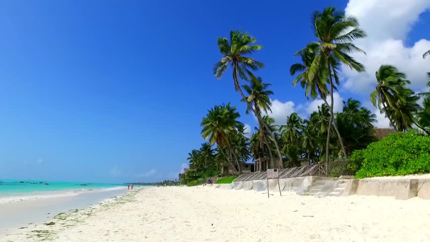 very beautiful paradise beach with white sand for a romantic holiday under the coconut trees in zanzibar Royalty-Free Stock Footage #1103704193