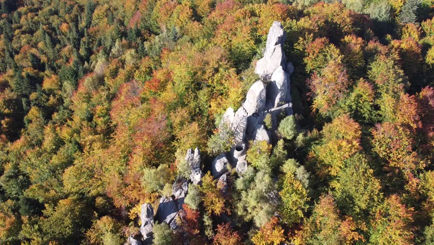 Sharp rocks stick out of autumn forest. Part of an ancient defensive fort. Stones processed by man. Tustan Carpathians Ukraine. Drone video.
