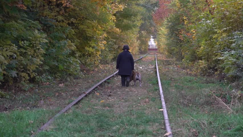 Slow Motion Boy in black suit with dog bulldog walking trough railway in park