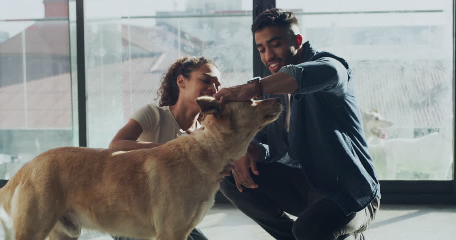 Adoption, animal shelter and a couple hugging a puppy at a rescue center for charity or welfare together. Pet, love or empathy with a man and woman adopting a young dog from a community kennel