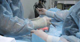 The veterinarian's hands screw an endoscopic port into the abdomen of an anesthetized dog. The surgeon places endoscopic ports for using endoscopic instruments in the dog's abdomen.