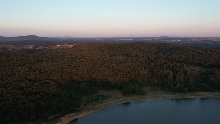 pine forest, aerial dense pine forest near lake
