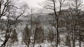 Traveling trough snowy landscape with mountains, trees, falling snow slow motion 