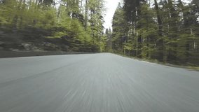 POV car bumper road trough forest. Low angle clip of forest road
