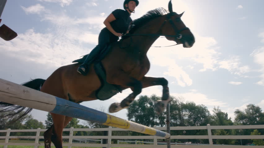 Chestnut horse, ridden by a female rider in a black equestrian outfit, jumping over hurdles in the open arena, low angle shot.
