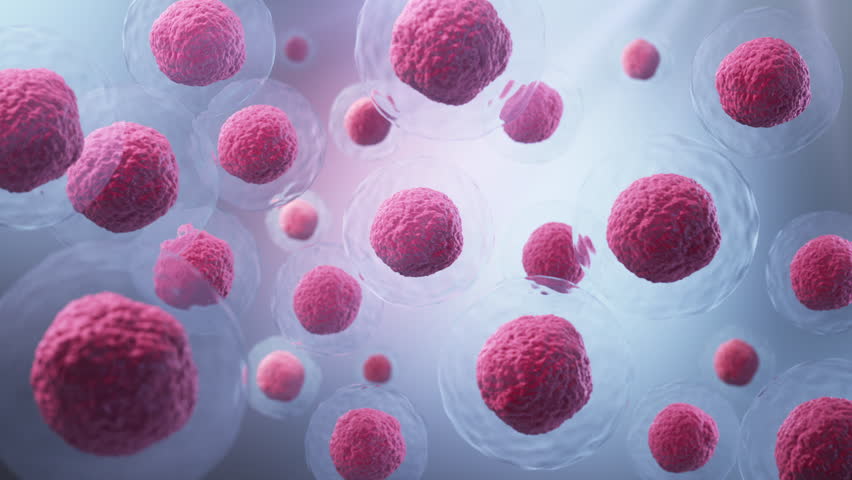 3d animation of Human cell or Embryonic stem cell microscope background.