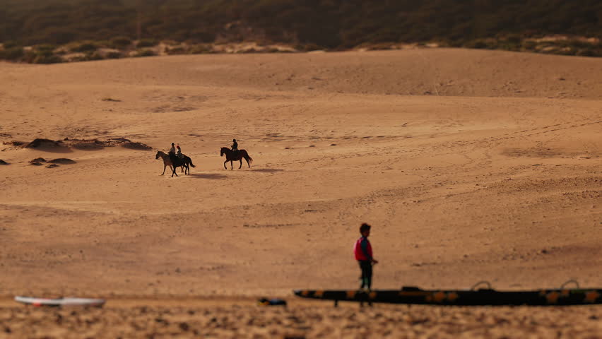 Horse Riders On Beach. Horses Walk Slowly. Windsurfer With Paddle Near Sea. Royalty-Free Stock Footage #1103745025