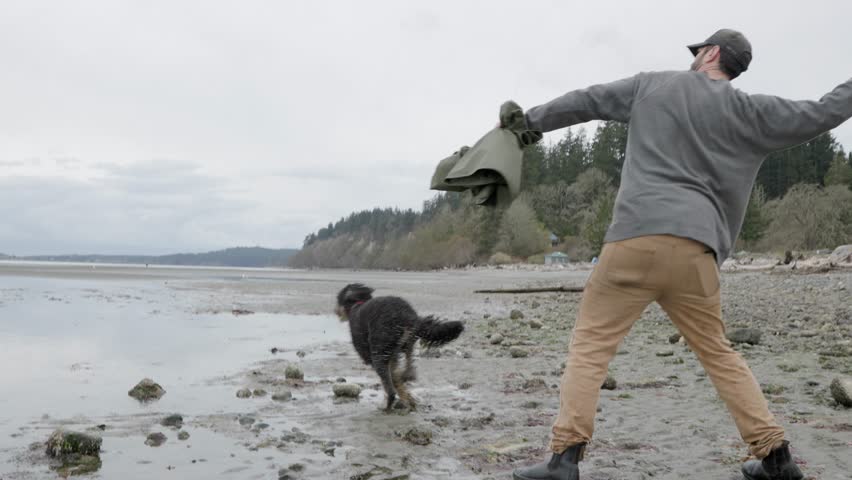 Man playing with dog on beach, beautiful coastline, ocean, West Coast Canada, Vancouver Island. 4K 24FPS.