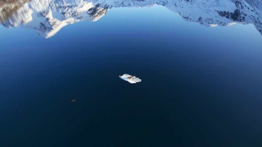 Amazing aerial shot of a seal sitting on a small piece of floating ice in a bay near snow covered mountains reflecting off the mirror surface of the calm water