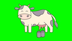 dairy cow motion graphics, footage of a cow being milked. short videos of dairy cows.
