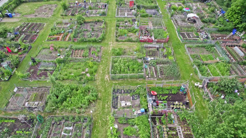 Urban gardening. City urbanized vegetable garden. Aerial view. Growing, farming vegetables in the city. Agriculture of organic hand grown food. Self sustained system of gardening reusing rainwater. Royalty-Free Stock Footage #1103780981
