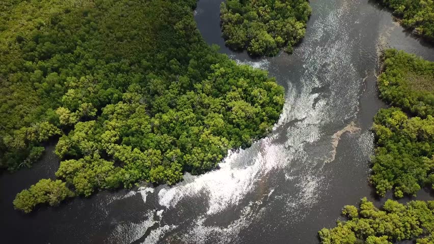 Amazing drone natural landscape of green lush Mangrove forest and river delta. Gazi, Kenya, Africa Royalty-Free Stock Footage #1103784721