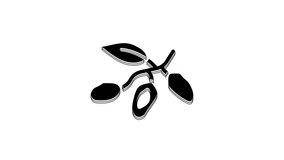 Black Date fruit icon isolated on white background. 4K Video motion graphic animation.