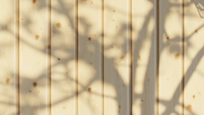 bright wooden boards wall with the shadows of a moving tree