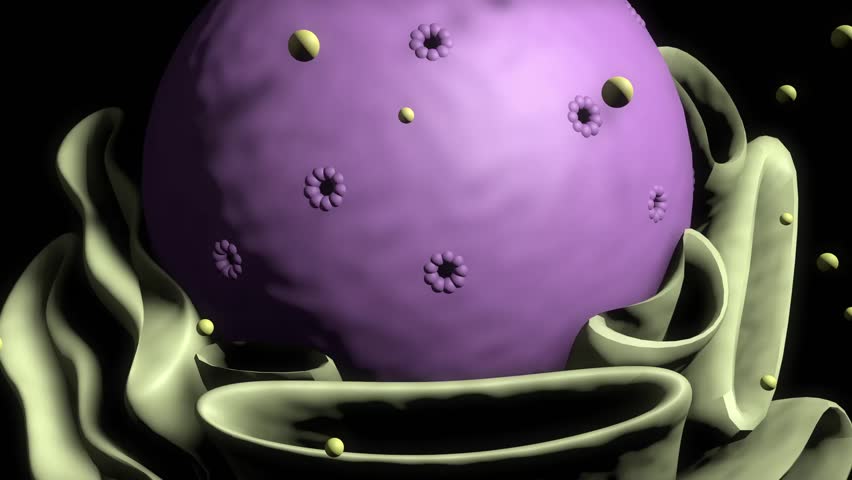 Cell division cell division growth background nucleus | Shutterstock HD Video #1103802285